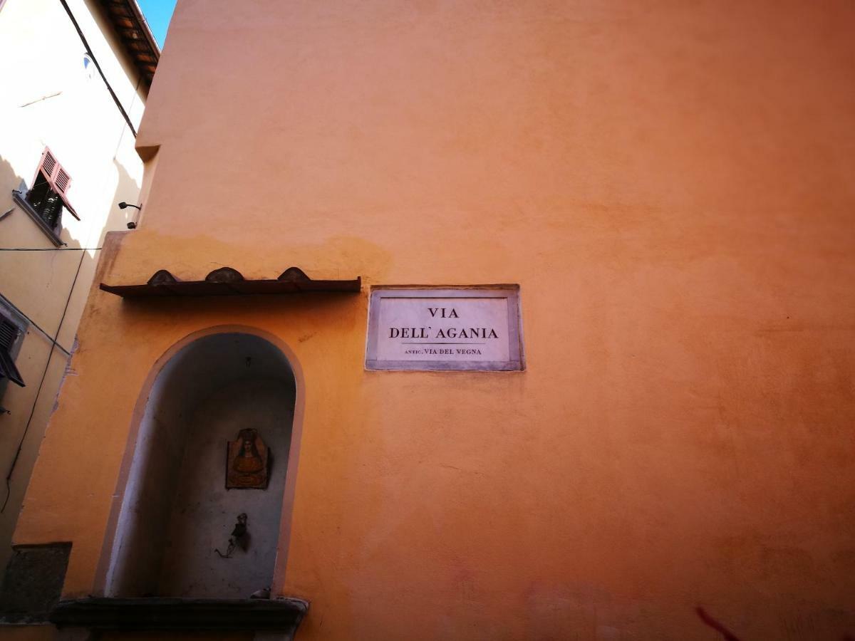 La Casina Dell'Agania Lägenhet Arezzo Exteriör bild